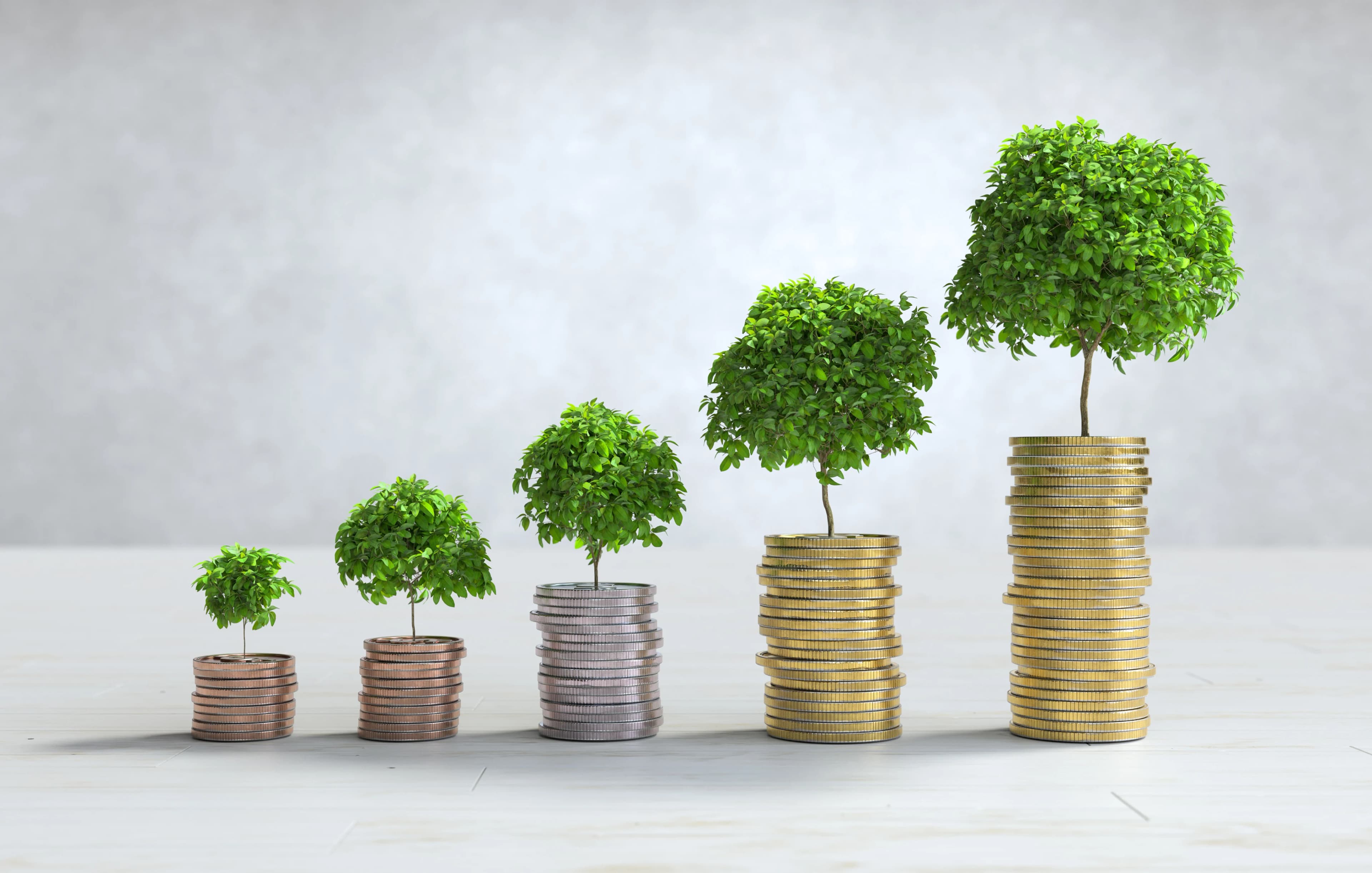 Fintech Solutions for Growth and Insight.